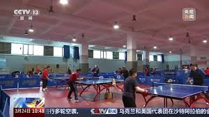 2026年国际足联世界杯 学校乒乓球台哪家好